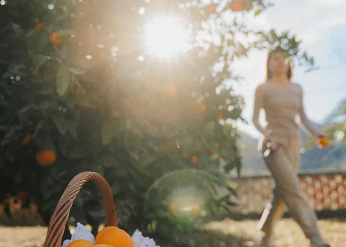 Corte Luna Terrazza E Panorama Relax *